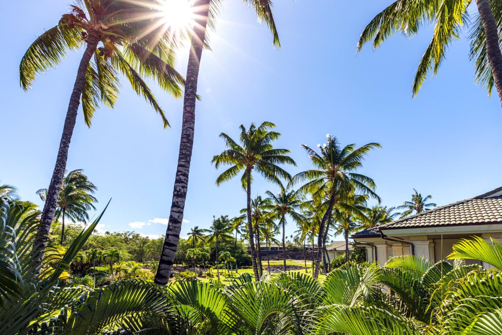 From sunrise to sunset, your private green escape is just steps away