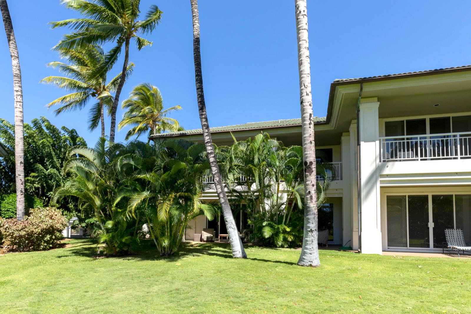 Surrounded by palms and kissed by sunshine, this backyard is made for peaceful island moments