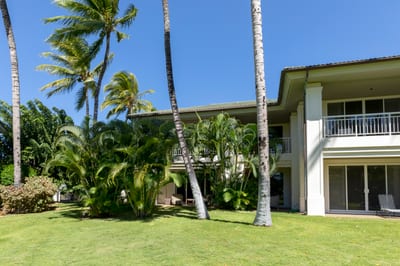 Surrounded by palms and kissed by sunshine, this backyard is made for peaceful island moments