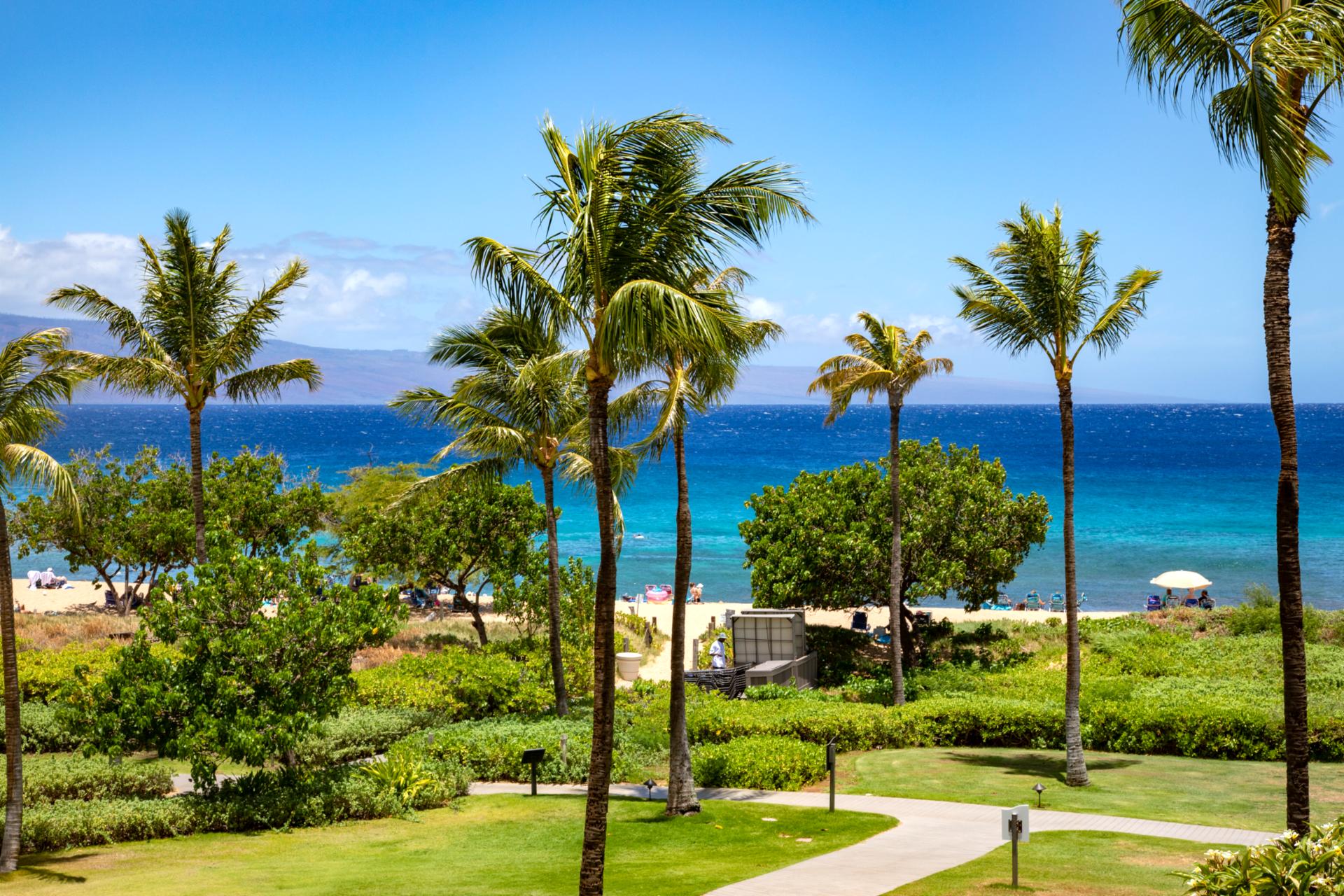 Gorgeous island views of the ocean and swaying palms