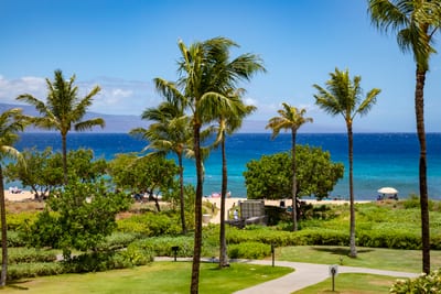 Gorgeous island views of the ocean and swaying palms HKH-204