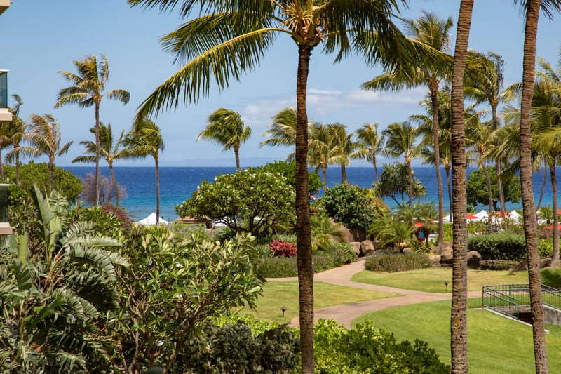 Ocean breeze, swaying palms, vibrant gardens, pure tropical paradise bliss