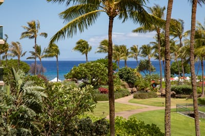 Ocean breeze, swaying palms, vibrant gardens, pure tropical paradise bliss HKH-236