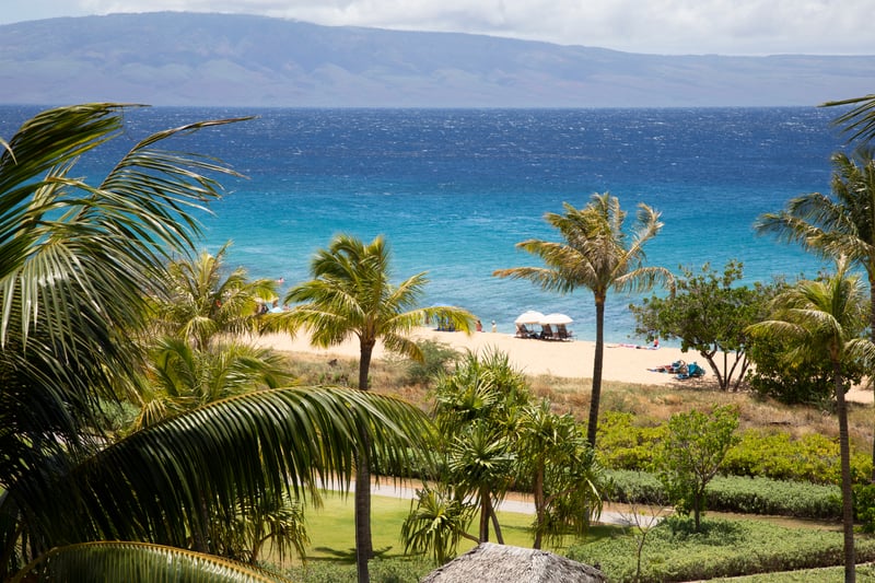Let the view do the talking, crystal waters, beachfront palms, and laid-back luxury all from your private lanai