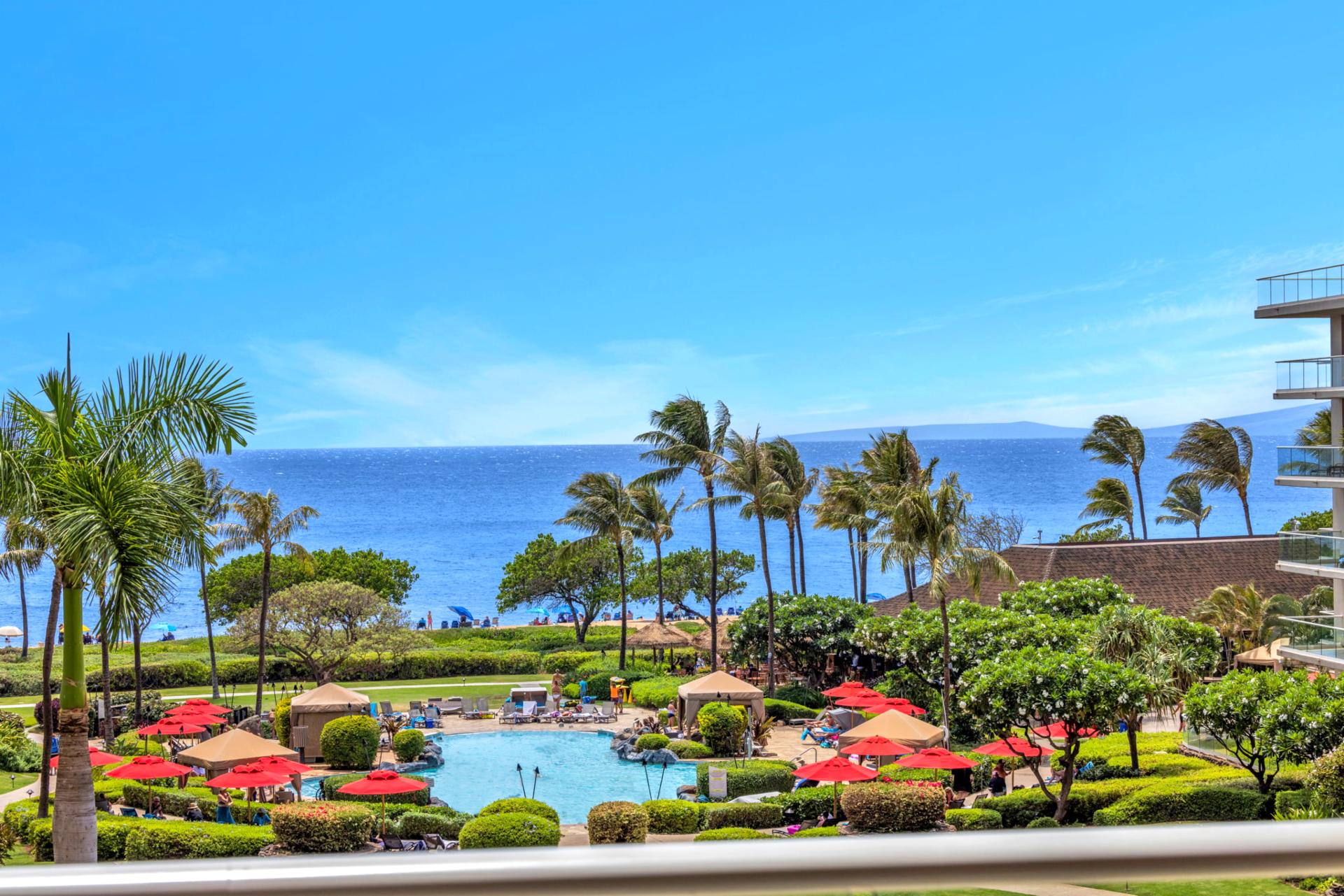 Gaze out at paradise—lush palms, deep blue water, and the islands beyond