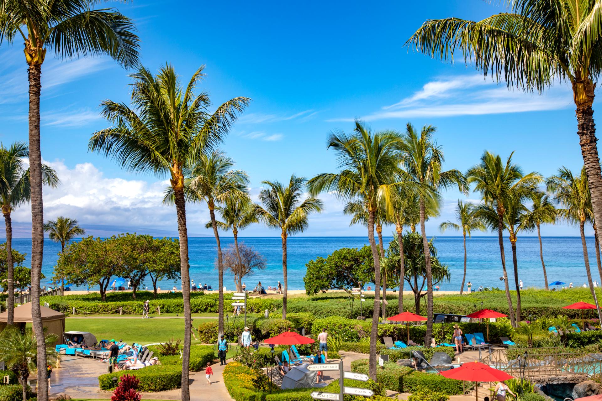 Step outside and stroll through beautifully manicured resort grounds