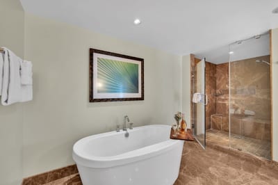 Luxurious master bath with walk-in shower and soaking tub HKK-349