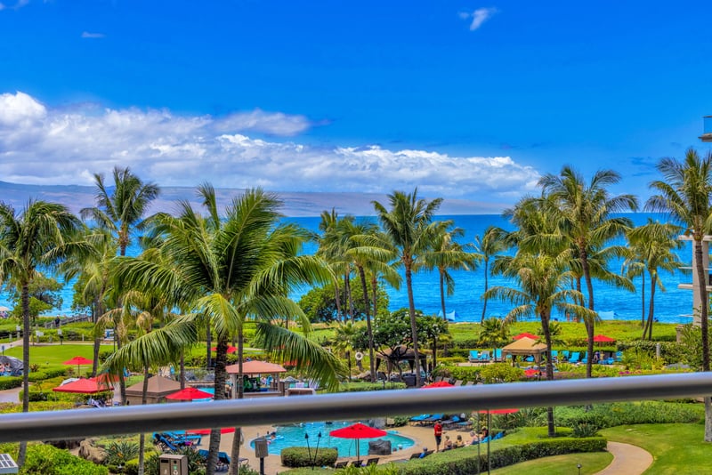 Stunning view of the pool and palm-fringed coastline