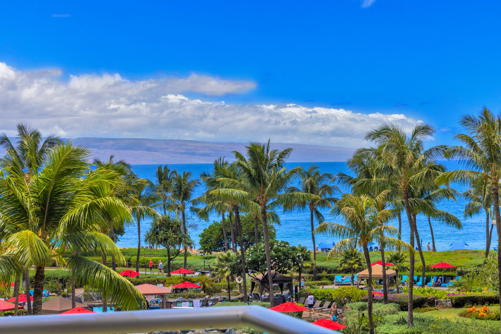 Serene tropical views with swaying palms and blue waters