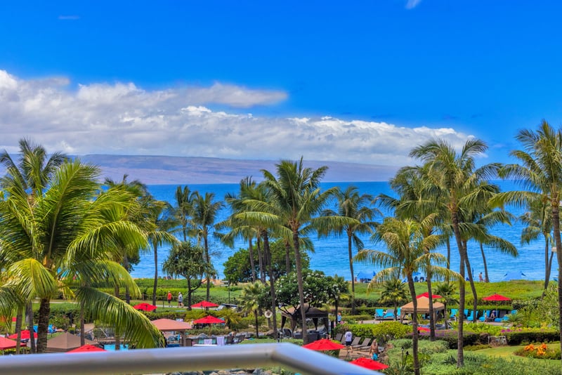 Serene tropical views with swaying palms and blue waters