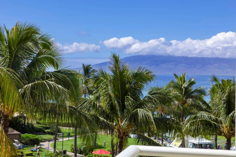 Ocean breeze, palm trees, mountain views, paradise from every balcony