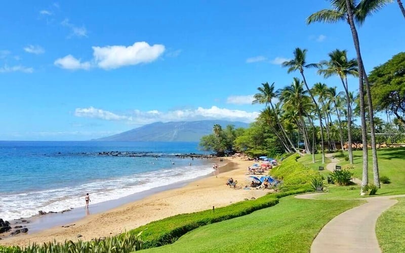 Resort path lined with palms leads to beach access and views of the West Maui coastline.