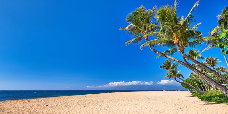 Golden sand, swaying palms, ocean breeze—paradise under clear skies just steps from your Honua Kai resort