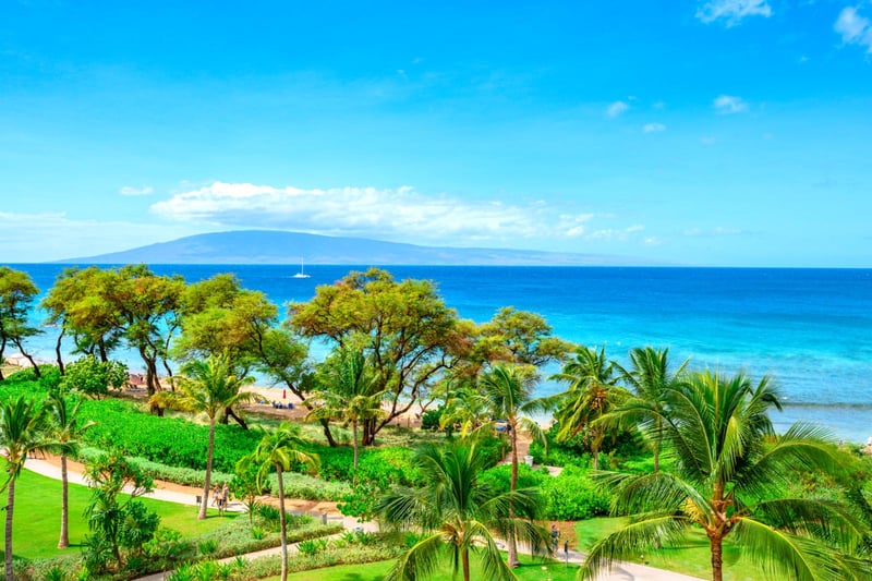 Tropical paradise, crystal blue waters, peaceful paths, and palm dreams.