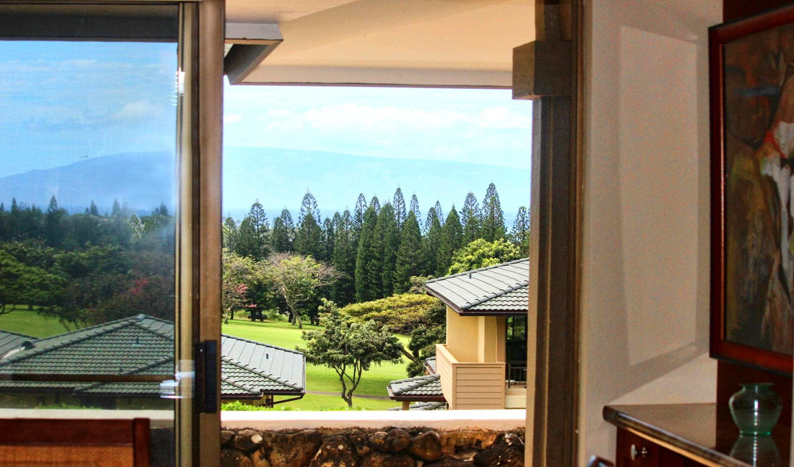 The kind of view that doesn’t shout—it speaks in hushes, in stillness, and in the rhythm of the breeze     KGV-19P3