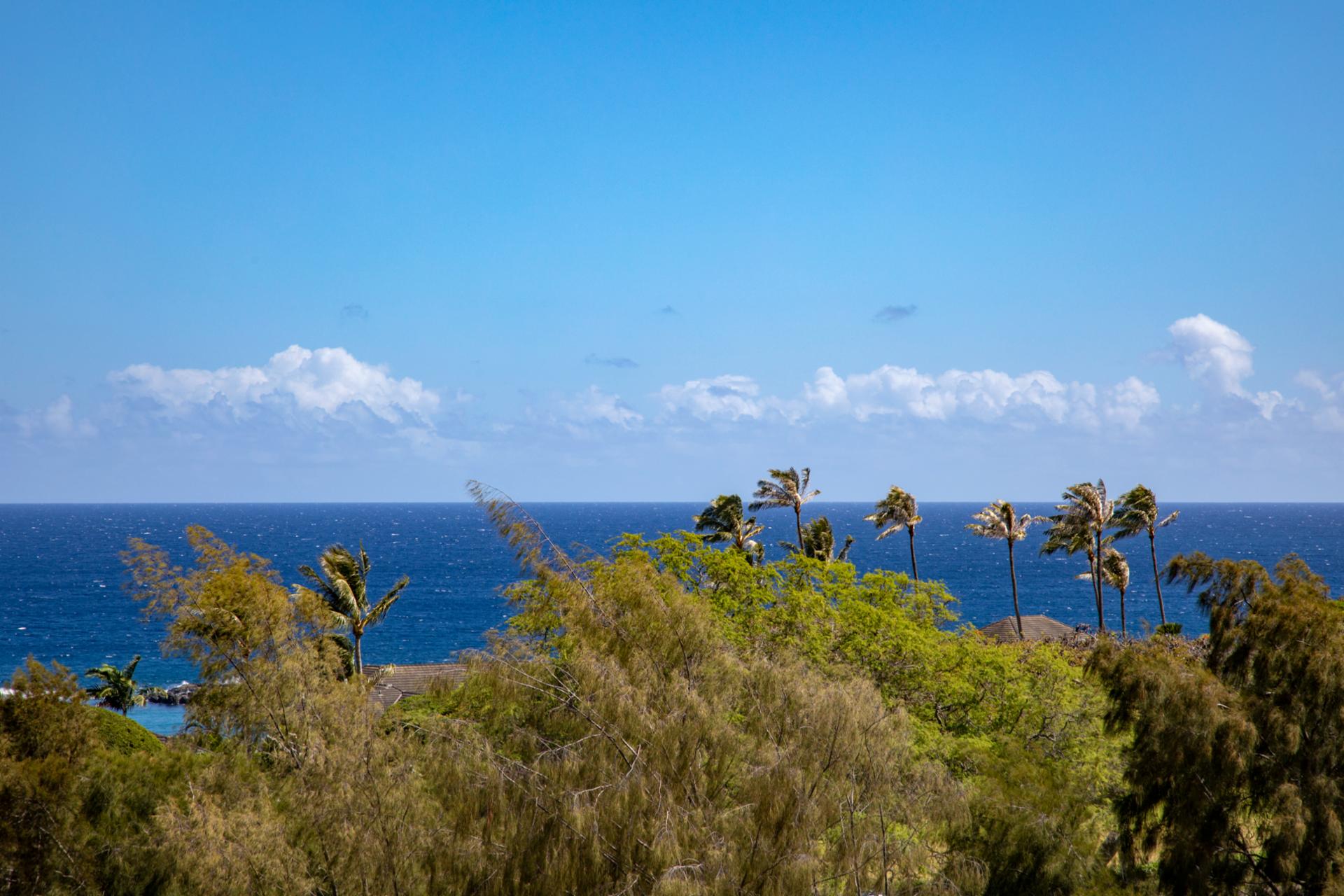 Gorgeous views from every window