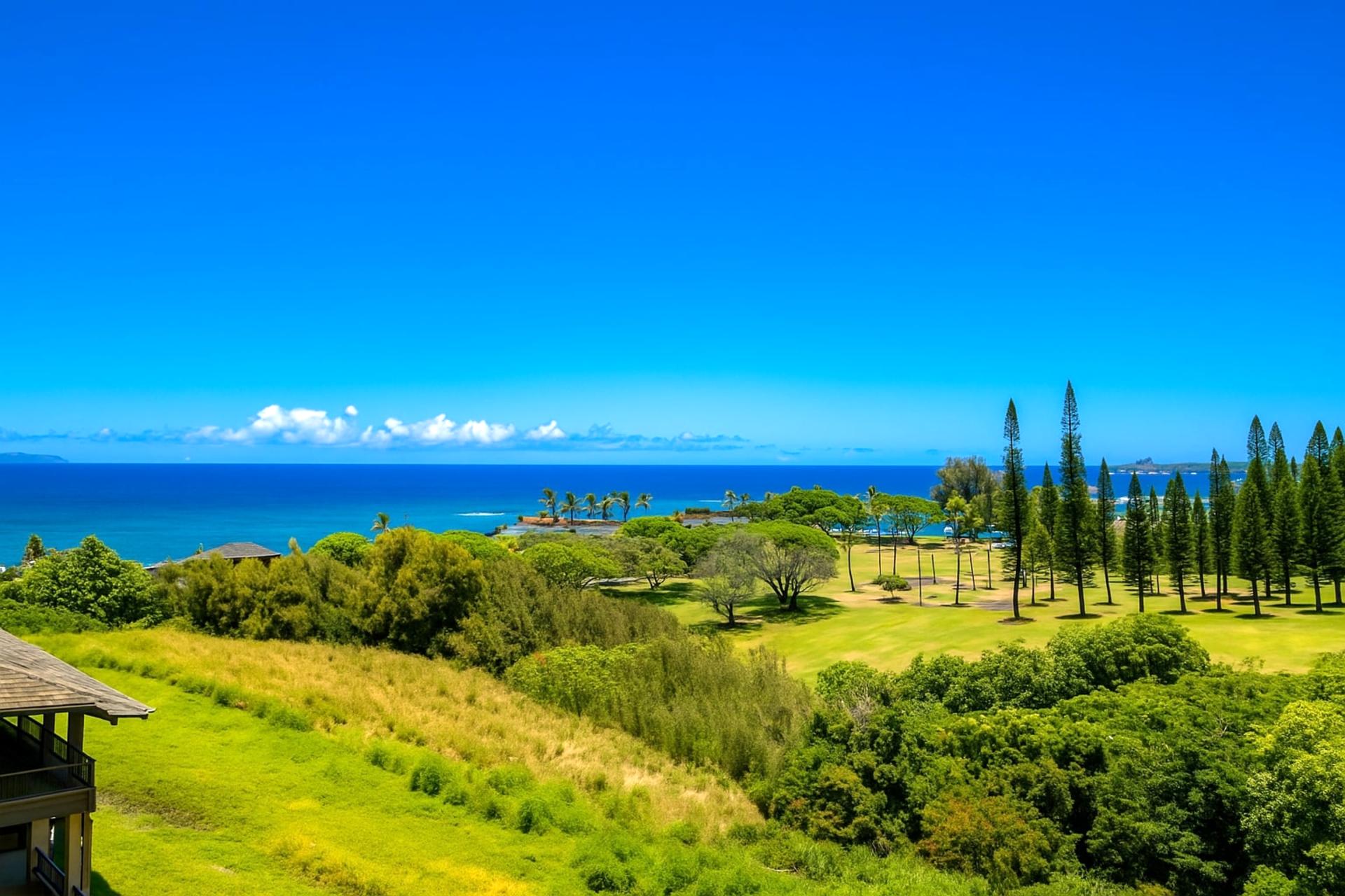 Ocean blues, island hues, and a front-row seat to Maui’s magic—your Kapalua view is pure tropical indulgence
