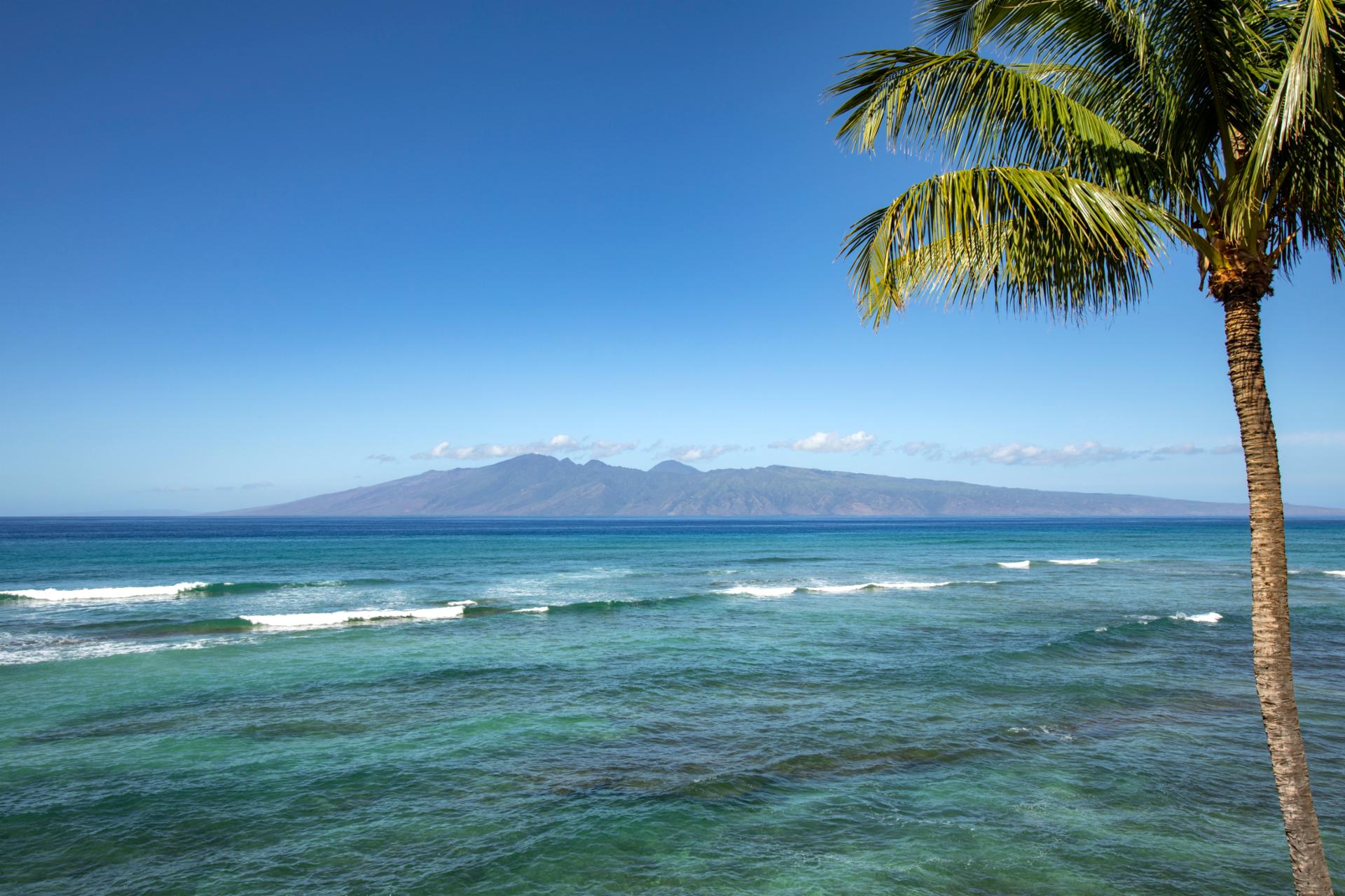 Let nature host your next meal—this lanai offers panoramic peace you can taste, hear, and feel   