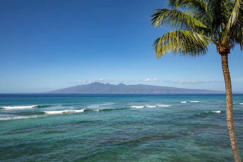 Let nature host your next meal—this lanai offers panoramic peace you can taste, hear, and feel