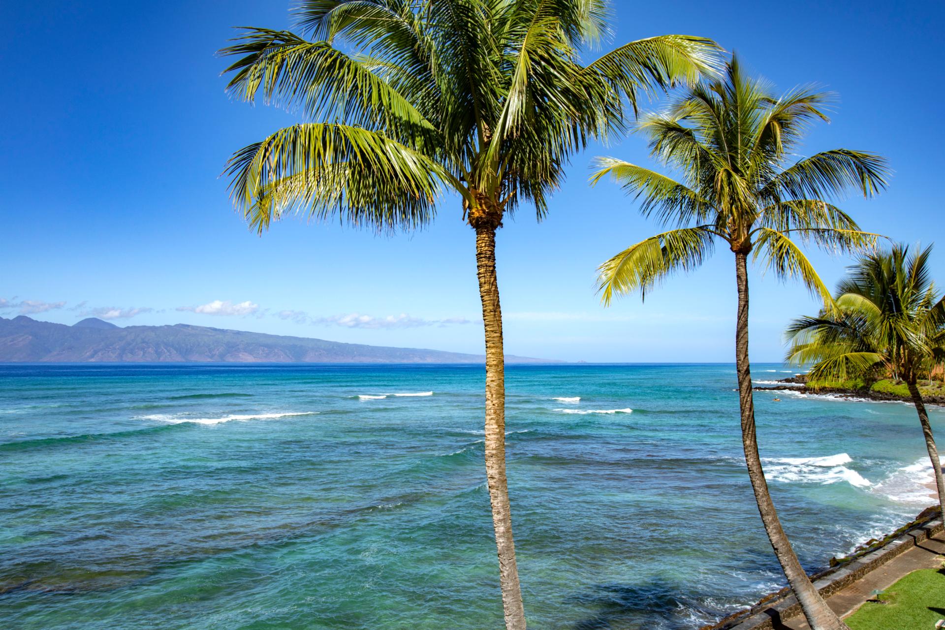 Just steps from the sea, your lanai becomes a sanctuary of slow sips, sea breezes, and soft sunsets   