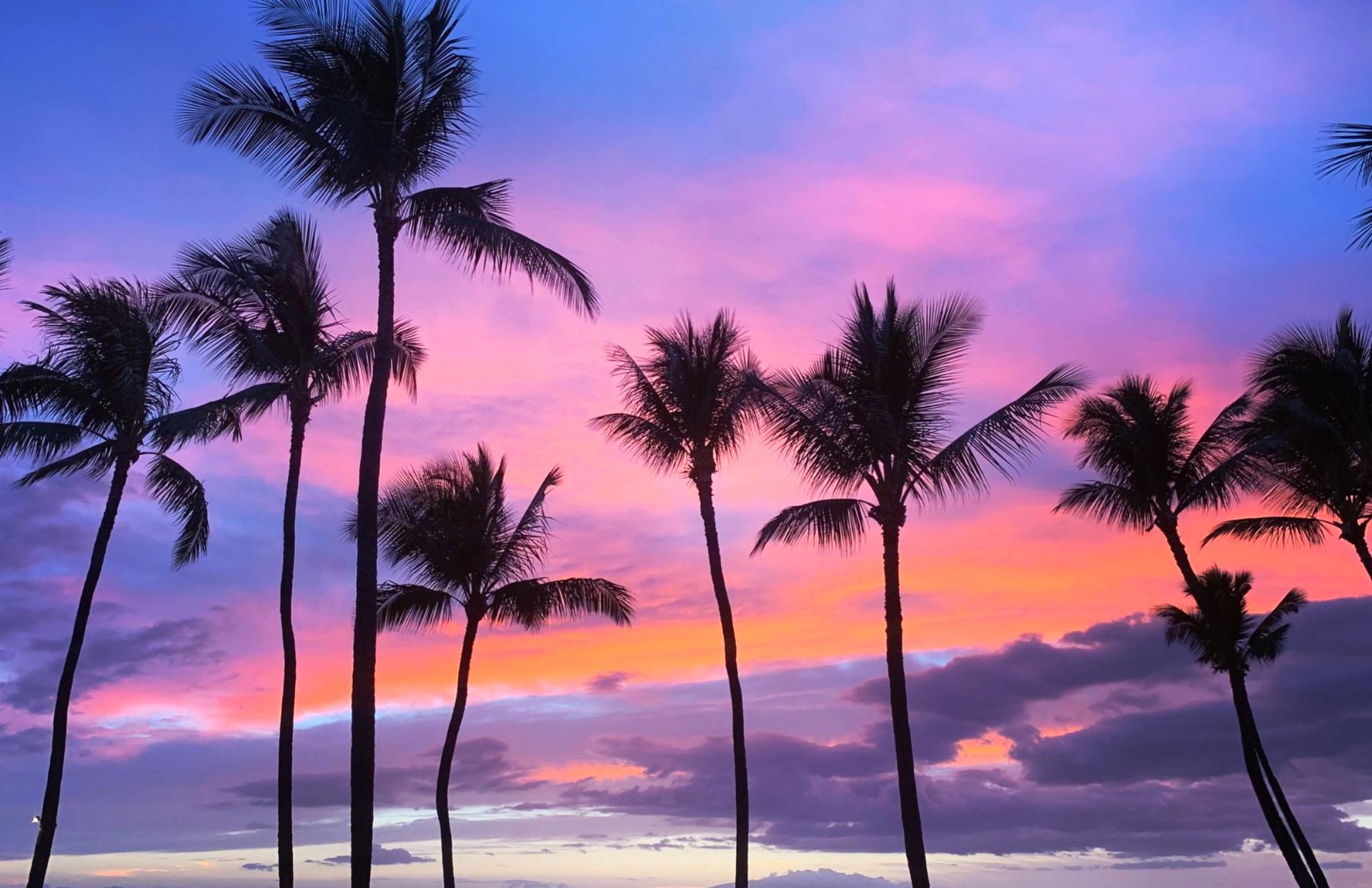 Evenings bring vibrant island sunsets, with swaying palms silhouetted against pink and violet skies along your shoreline.