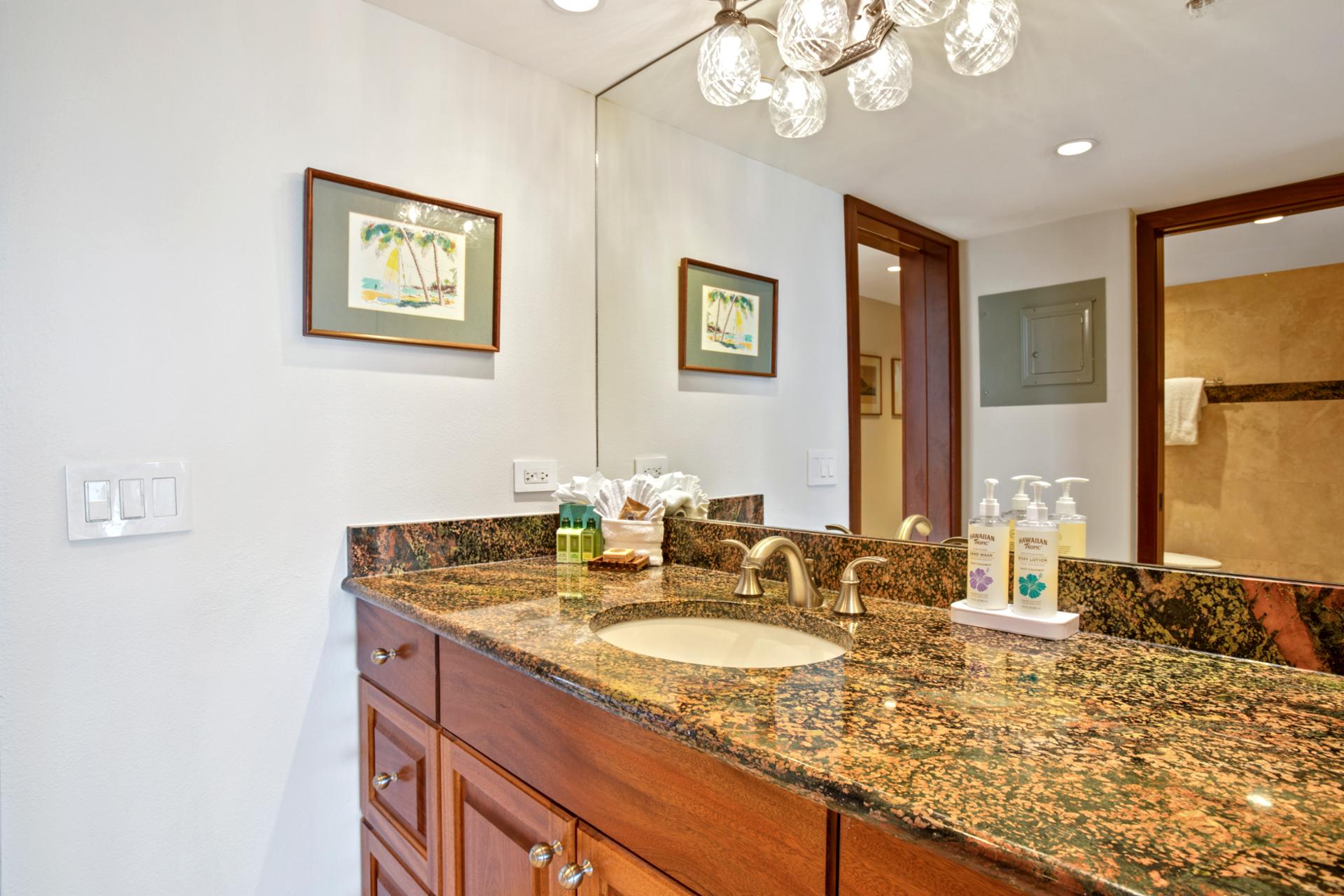 The well-lit and elegantly designed master bath provides a spa-like retreat