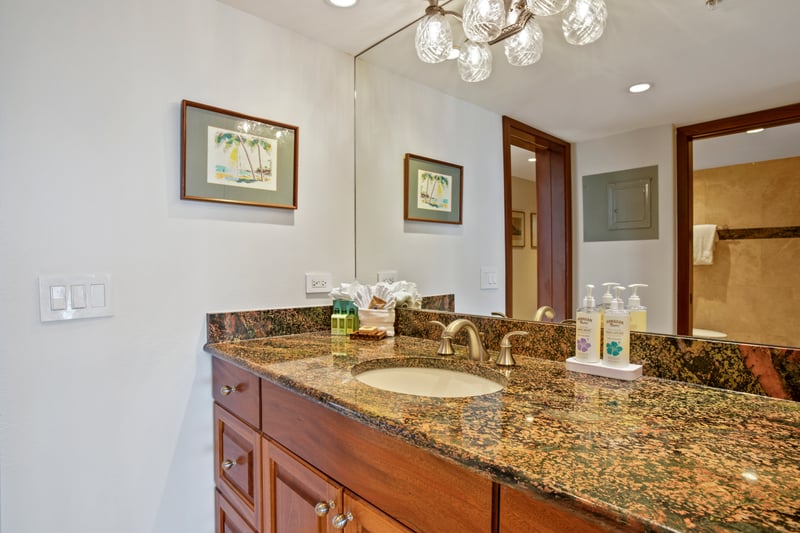 The well-lit and elegantly designed master bath provides a spa-like retreat MAH-719
