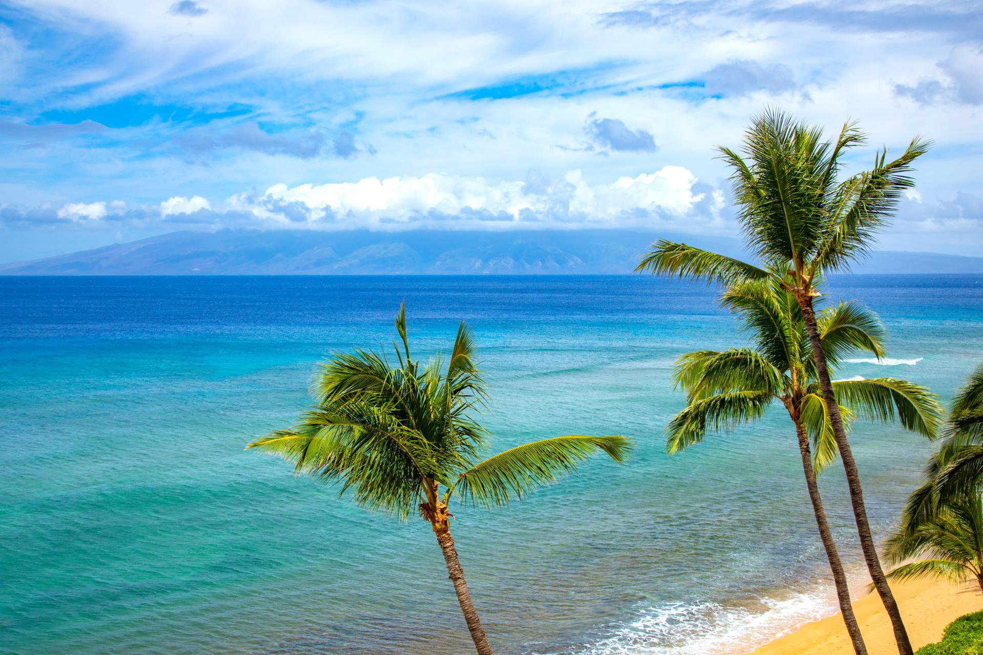 Wake up to picture-perfect views of turquoise waters and swaying palms