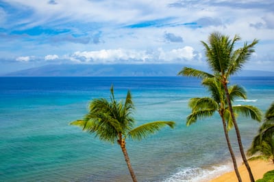 Wake up to picture-perfect views of turquoise waters and swaying palms