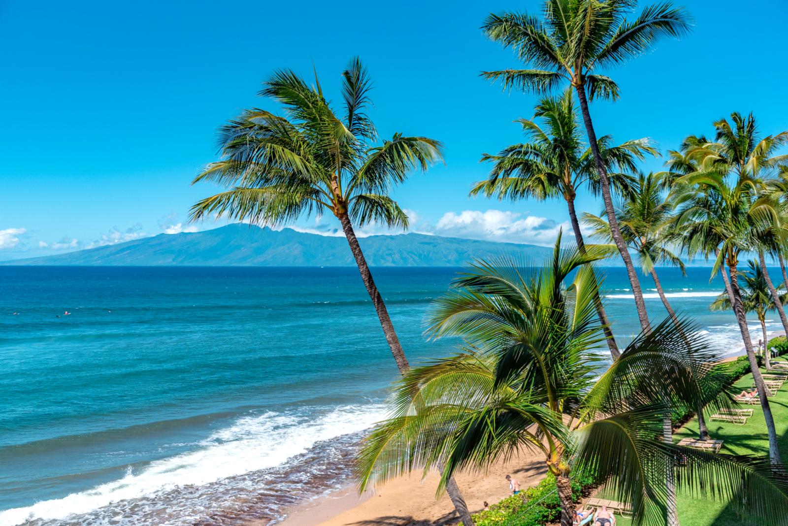 Tropical charm meets ocean serenity—where lazy beach days and palm-kissed sunsets are yours to savor daily MKV-B242
