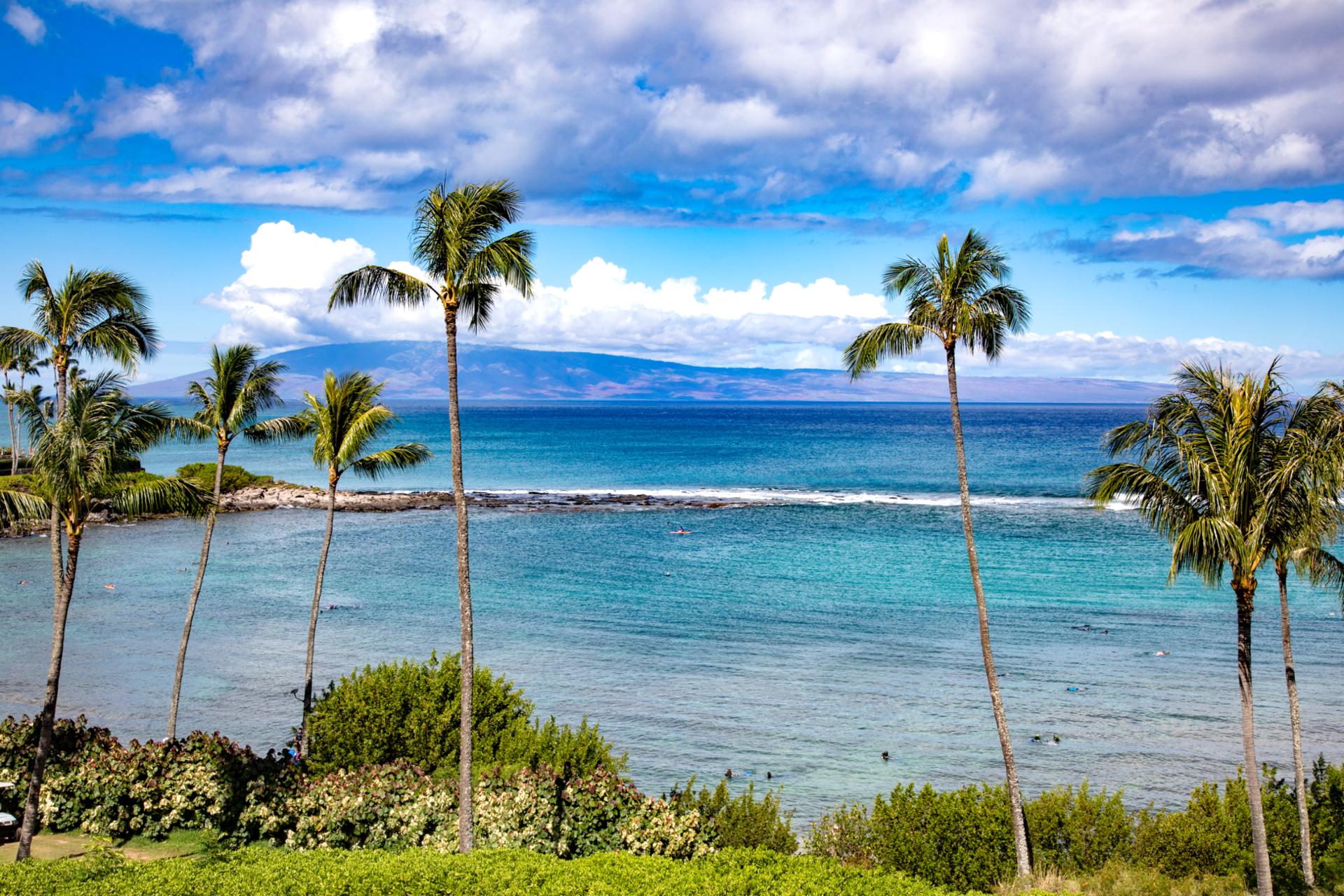 Watch waves roll in under vibrant blue skies framed by tropical foliage