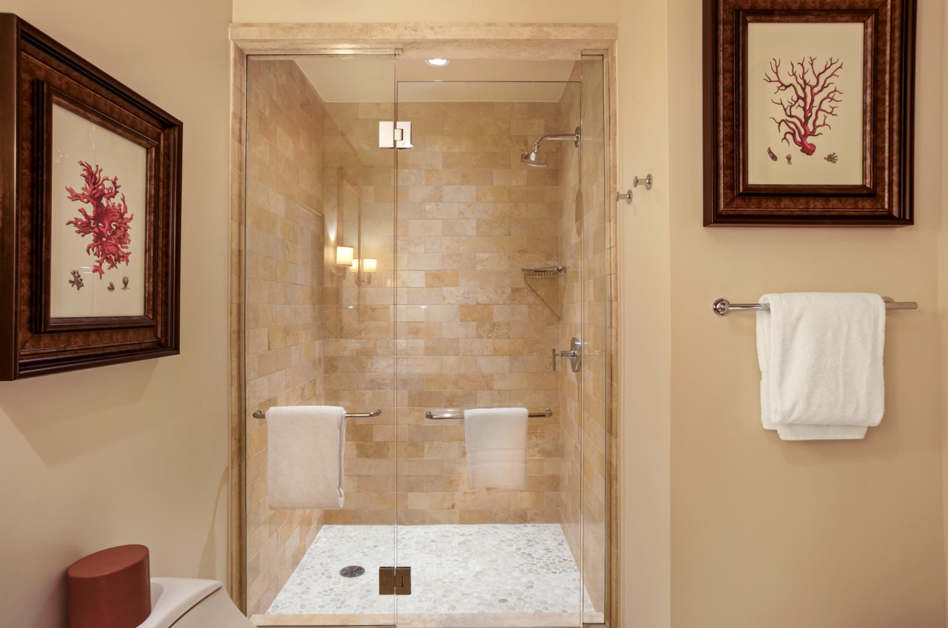 A modern guest bath with walk-in shower and thoughtful island decor touches