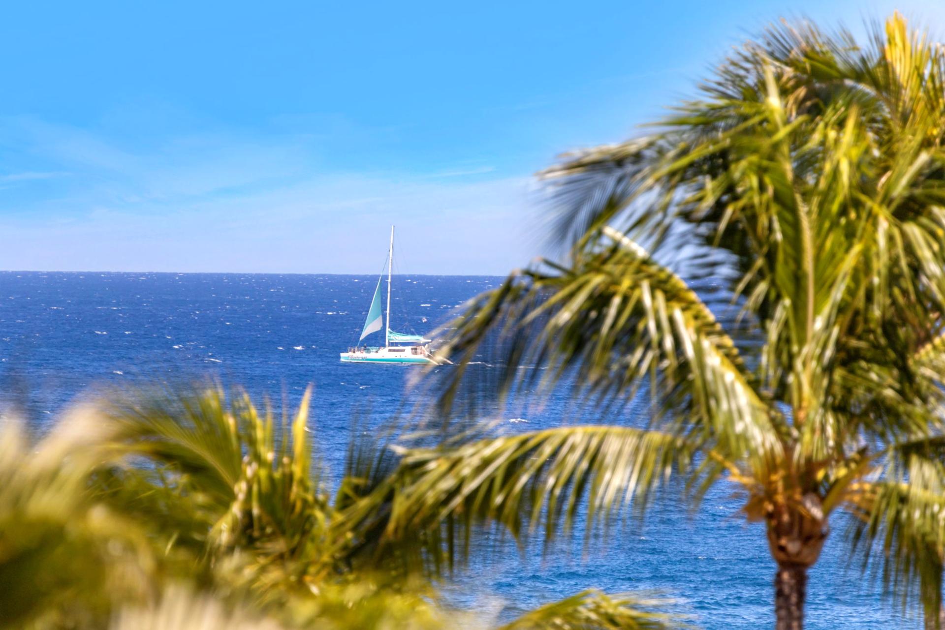 Enjoy stunning palm-framed ocean views from your retreat