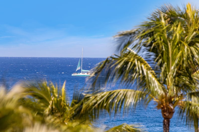 Enjoy stunning palm-framed ocean views from your retreat