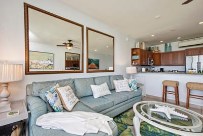 Comfortable open-plan living room with island touches NAP-B13