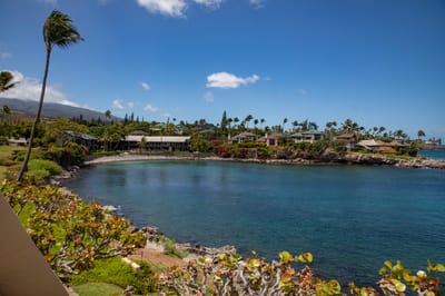 Oceanfront views of calm waters and tropical greenery NAP-B13