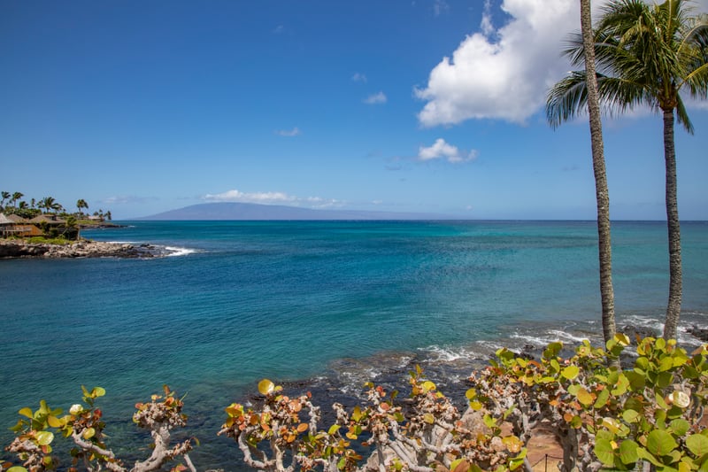 Serene coastal views with swaying palms and clear skies NAP-B13