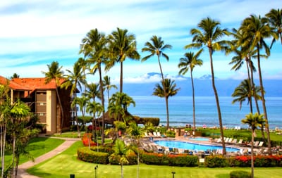 Follow the palm-lined path to ocean breezes and poolside dreams—paradise is just a barefoot stroll away