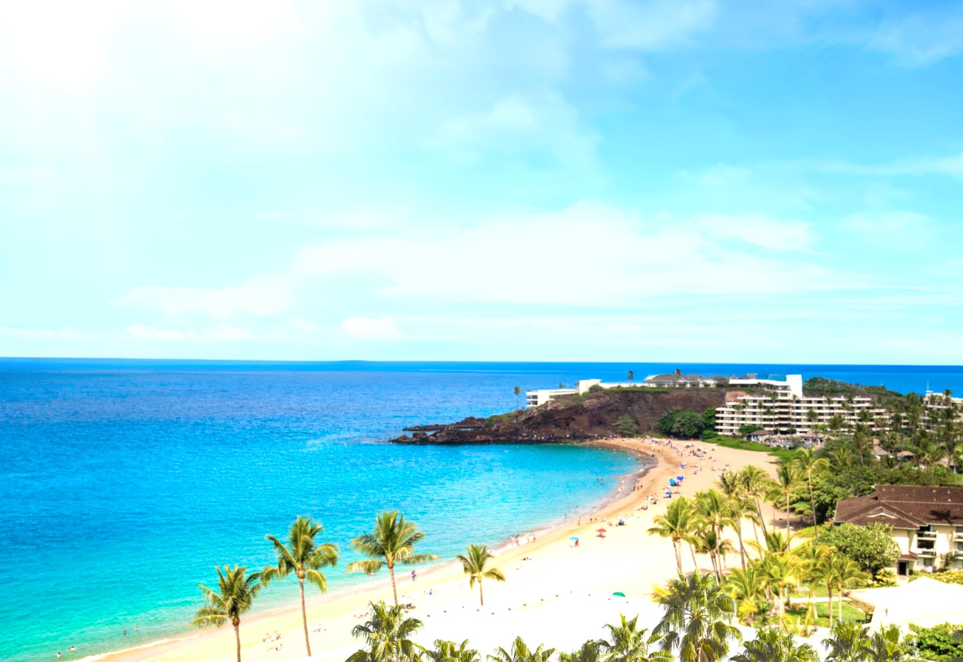 Golden sands curve along turquoise shores, with palm trees swaying under skies that stretch into forever WH1-1218