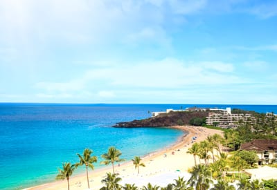 Golden sands curve along turquoise shores, with palm trees swaying under skies that stretch into forever