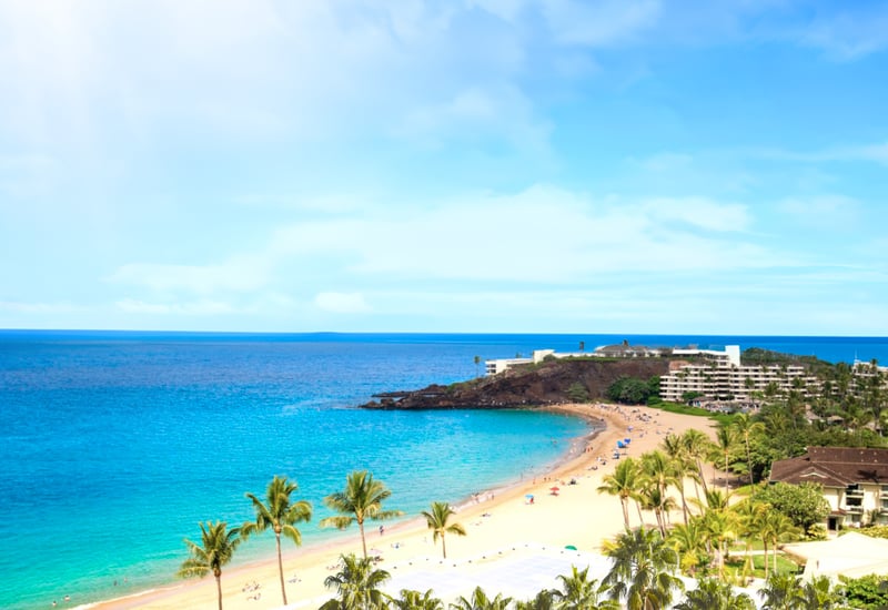 Golden sands curve along turquoise shores, with palm trees swaying under skies that stretch into forever