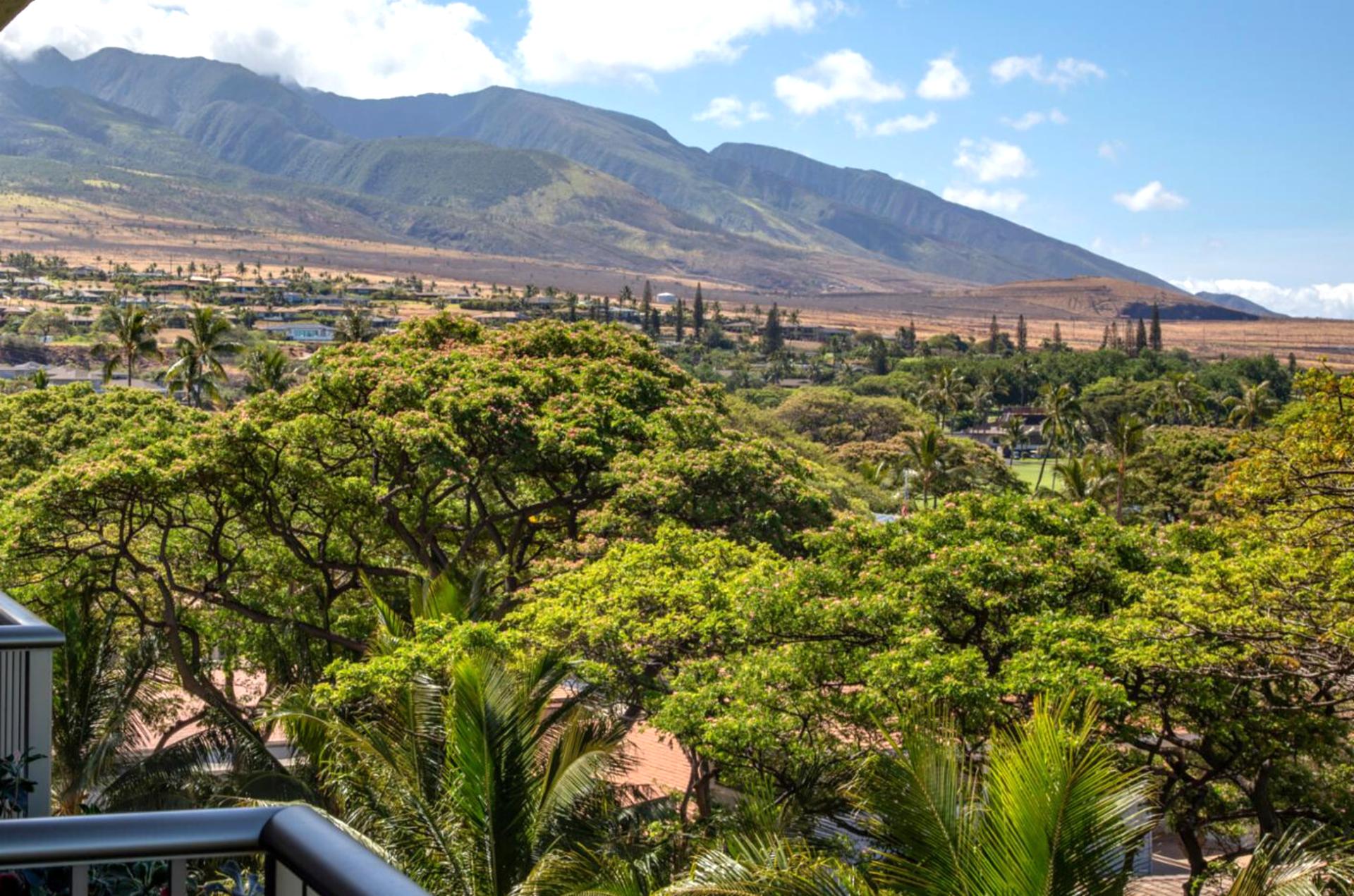 From your balcony, watch sunlight sweep across the West Maui mountains and lush valleys below WH2-661