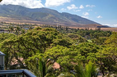 From your balcony, watch sunlight sweep across the West Maui mountains and lush valleys below