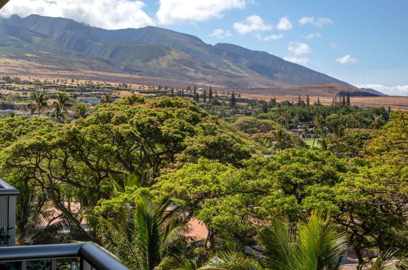 From your balcony, watch sunlight sweep across the West Maui mountains and lush valleys below