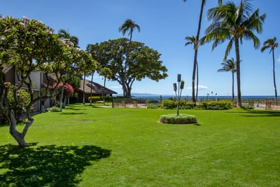 Watch the palm shadows stretch and sway as you lounge nearby, lulled into bliss by waves and whispering trees