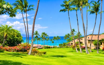 Close enough to be on the beach in minutes, but far enough away to enjoy peach, quiet, and privacy - while still being able to enjoy ocean views from your lanai.