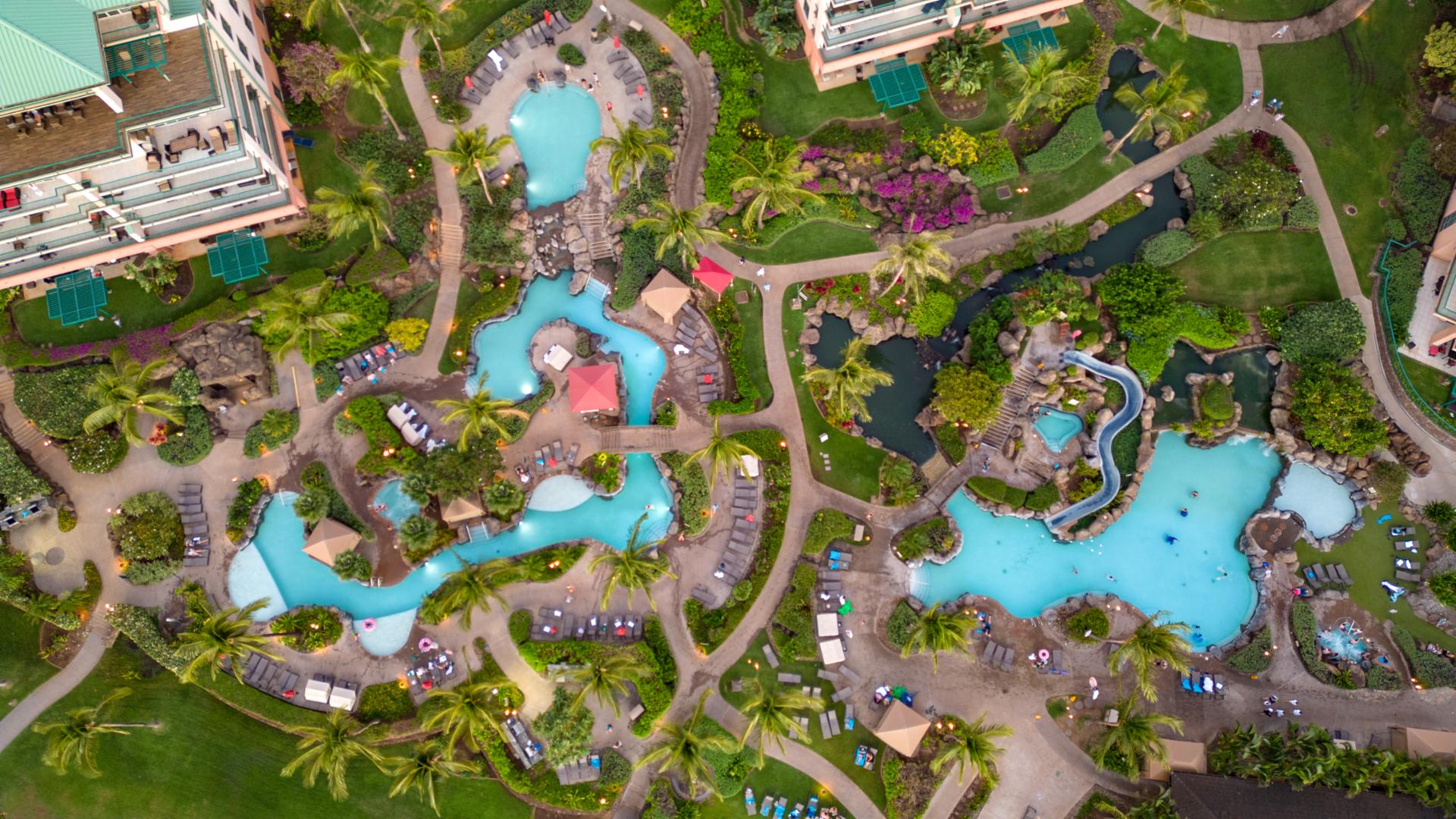 The pool area is your oasis of calm, surrounded by palm trees and tropical flowers. Just beyond, the endless blue of the Pacific invites you to explore and unwind.