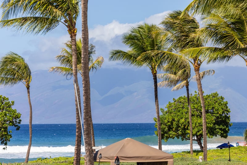 Beachfront view at Honua Kai HKH-150 — swaying palms and rolling surf steps from the private cabana