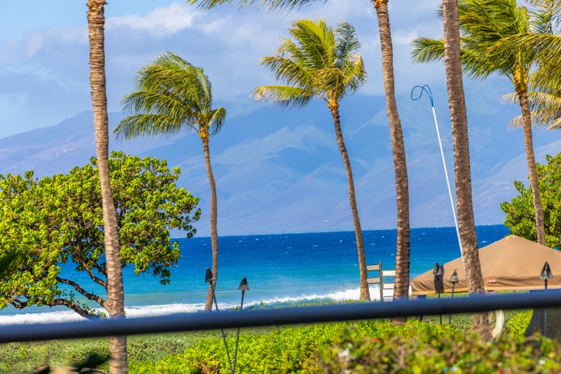 West Maui mountain and ocean view at Honua Kai HKH-150 — swaying palms frame the surf just steps from the lanai