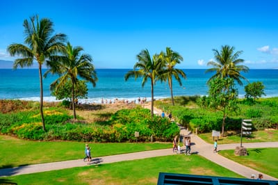 Palm trees and ocean blues stretch out before you in every direction HKH-201